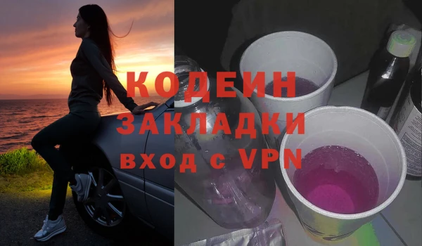 ГАЛЛЮЦИНОГЕННЫЕ ГРИБЫ Вязники