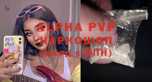 гидра Горняк