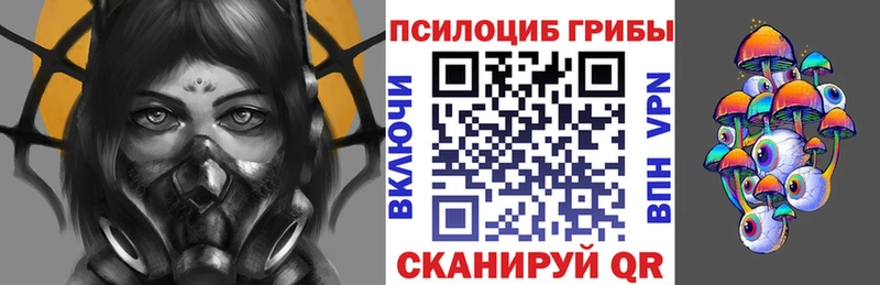 Псилоцибиновые грибы MAGIC MUSHROOMS  как найти   Заозёрск 